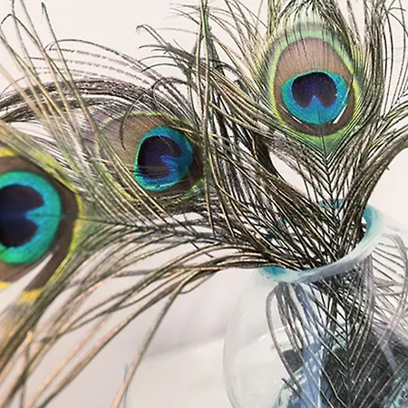 Ferienwohnung Ruegen, Ostseebad Sellin Sellin (Rugen)