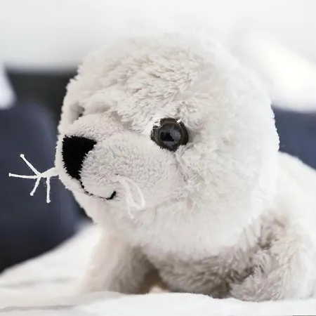 Ferienwohnung Ruegen, Ostseebad Sellin 公寓