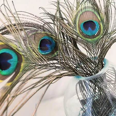 Διαμέρισμα Ferienwohnung Ruegen, Ostseebad Sellin Sellin (Rugen)